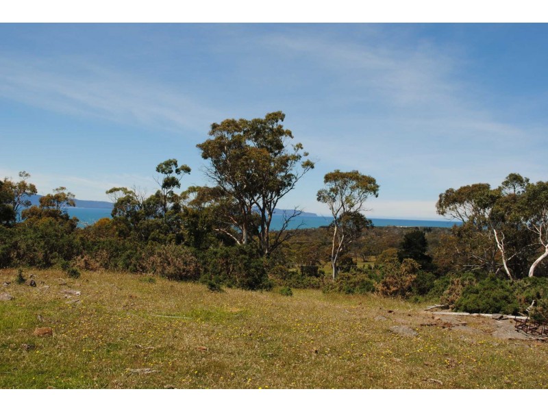 Lot 19 Burgess Street, Swansea TAS 7190