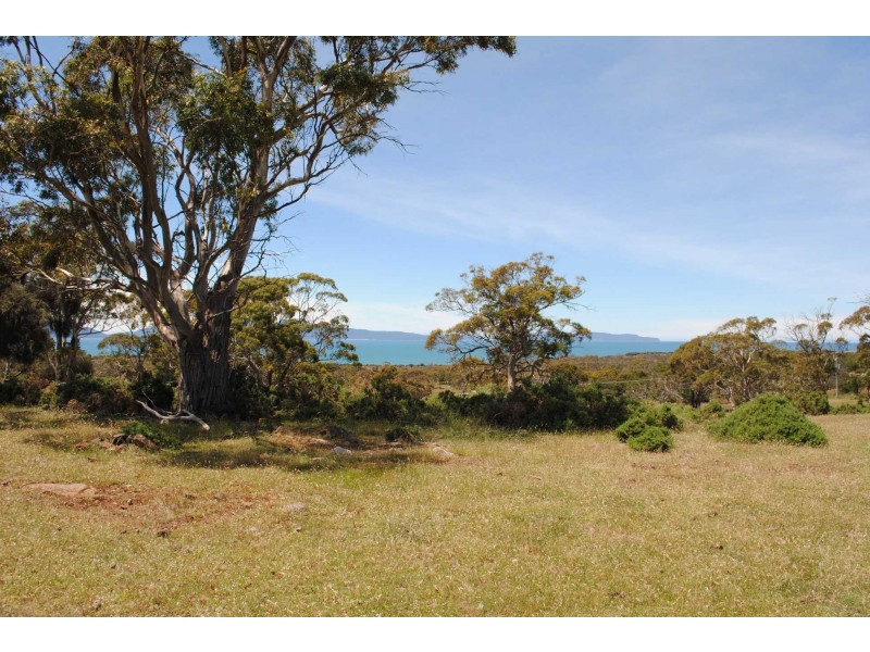 Lot 19 Burgess Street, Swansea TAS 7190