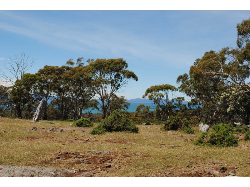 Lot 19 Burgess Street, Swansea TAS 7190