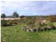66 Kent Street, Buckland TAS 7190