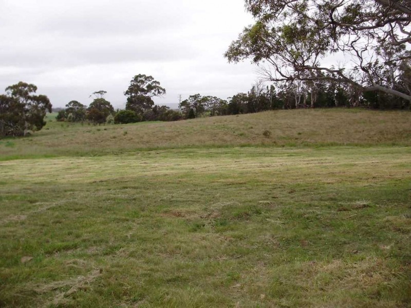 87 Gordon Street, Swansea TAS 7190