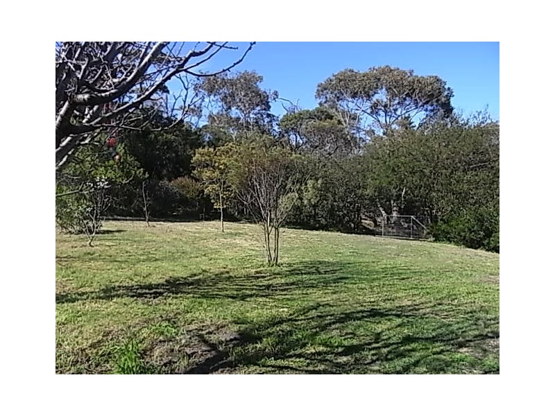 24 Fraser Street, Bicheno TAS 7215