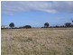 Lot 1 Champ Street, Seymour TAS 7215