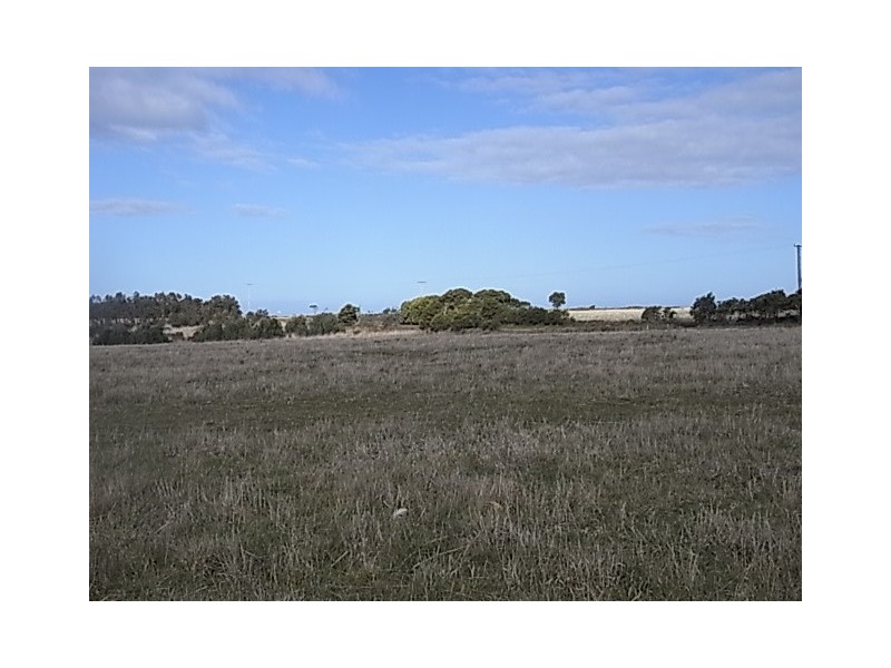 Lot 1 Champ Street, Seymour TAS 7215