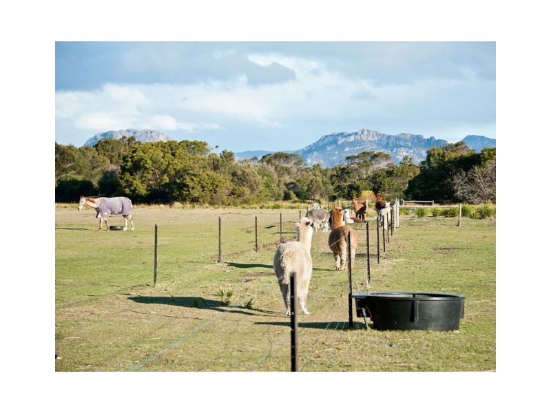 1830 Coles Bay Road, Coles Bay TAS 7215