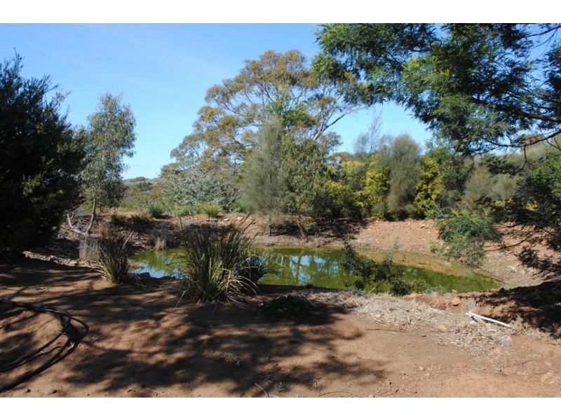 6 Addison Street, Swansea TAS 7190