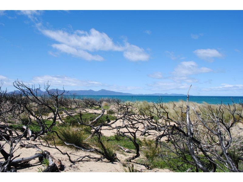 580 Dolphin Sands Road, Dolphin Sands TAS 7190