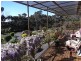 120 Tasman Highway, Bicheno TAS 7215