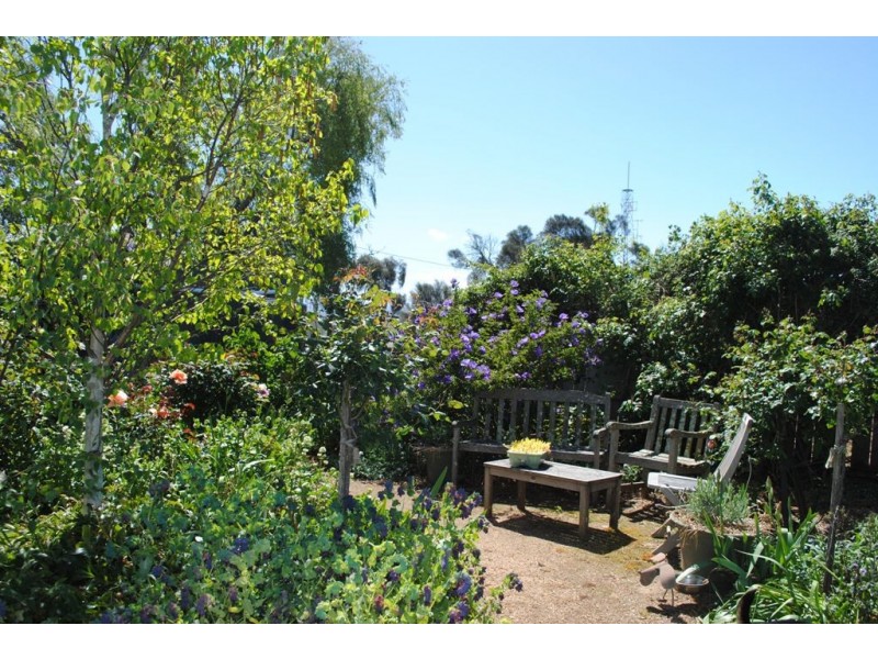 20 Noyes St, Swansea TAS 7190