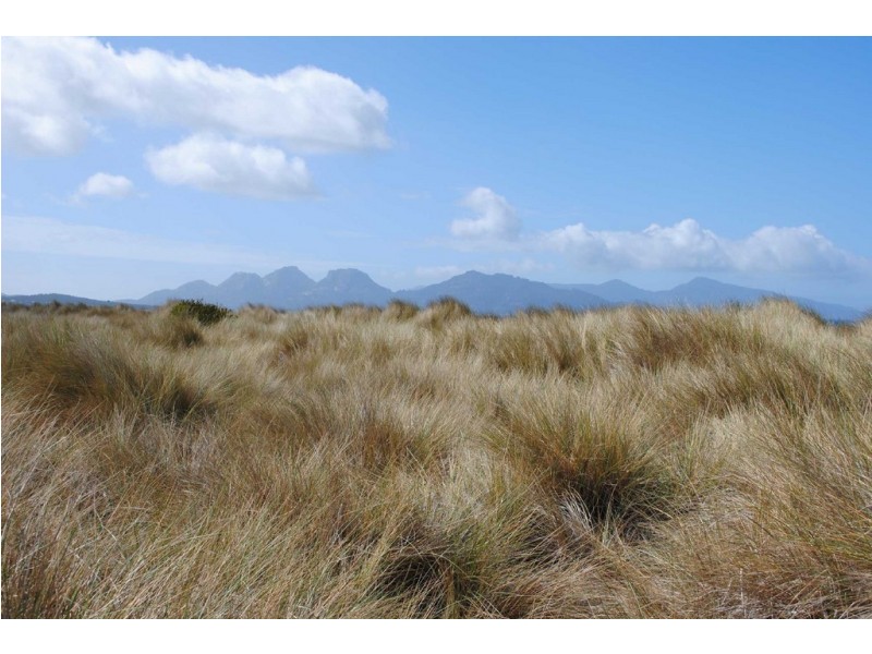 1080 Dolphin Sands Rd, Swansea TAS 7190