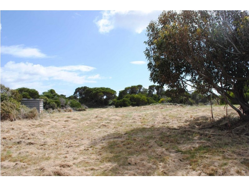 1080 Dolphin Sands Rd, Swansea TAS 7190