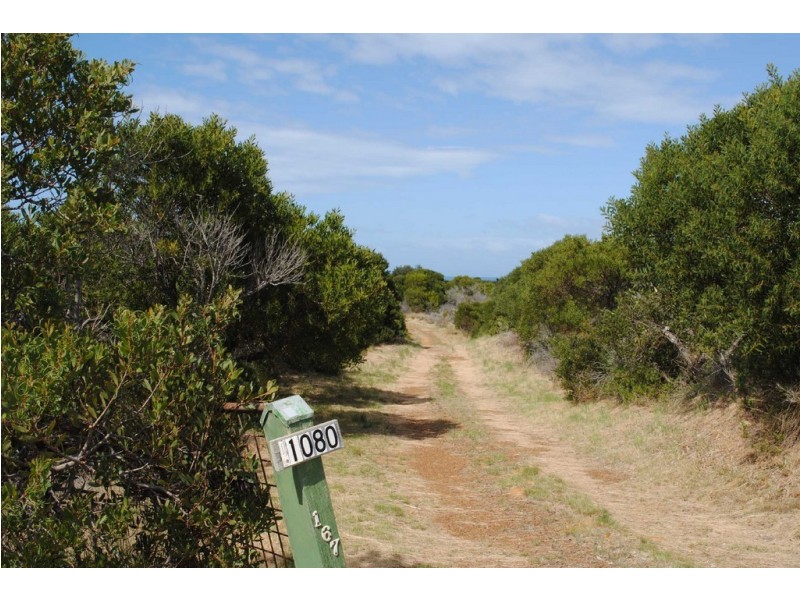 1080 Dolphin Sands Rd, Swansea TAS 7190