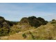 344 Dolphin Sands Road, Swansea TAS 7190