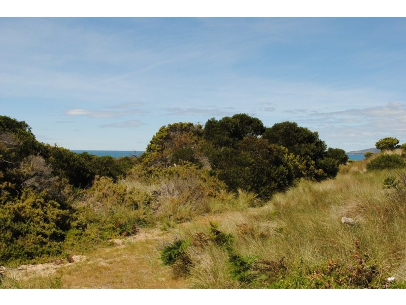 344 Dolphin Sands Road, Swansea TAS 7190