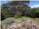 30 Gordon Street, Bicheno TAS 7215