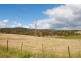 15255 Tasman Highway, Cranbrook TAS 7190