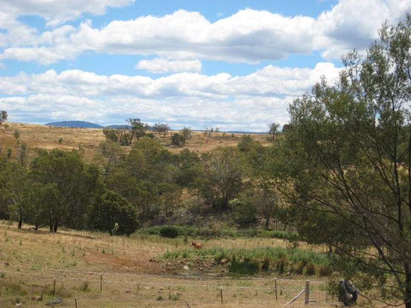 15255 Tasman Highway, Cranbrook TAS 7190