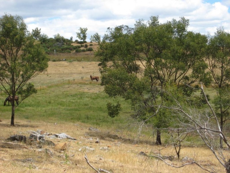 15255 Tasman Highway, Cranbrook TAS 7190