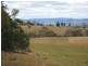15255 Tasman Highway, Cranbrook TAS 7190