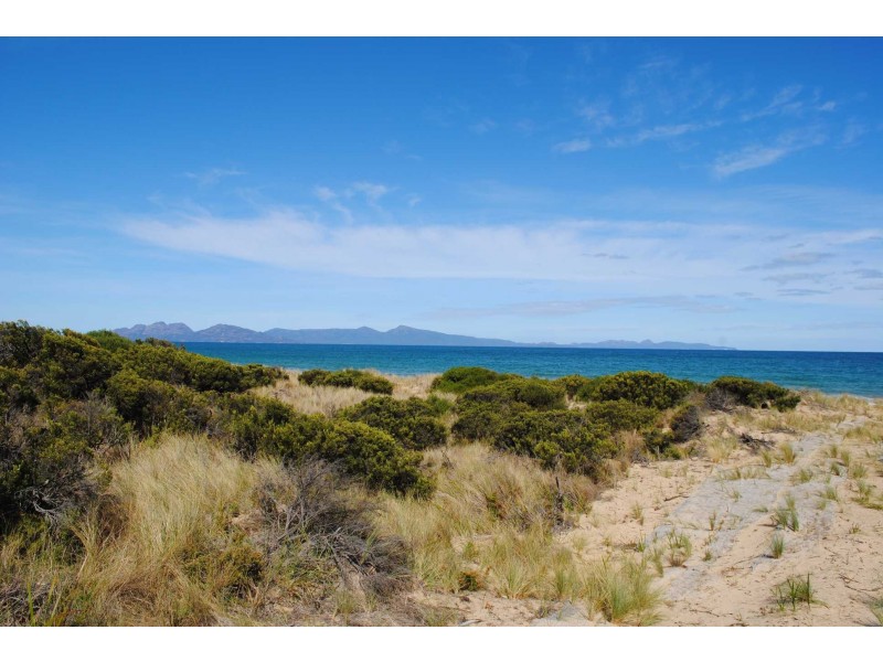 234 Dolphin Sands Rd, Swansea TAS 7190