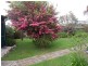 16 Shaw Street, Swansea TAS 7190