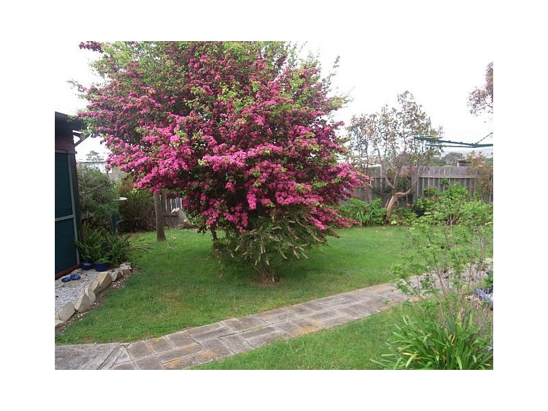 16 Shaw Street, Swansea TAS 7190