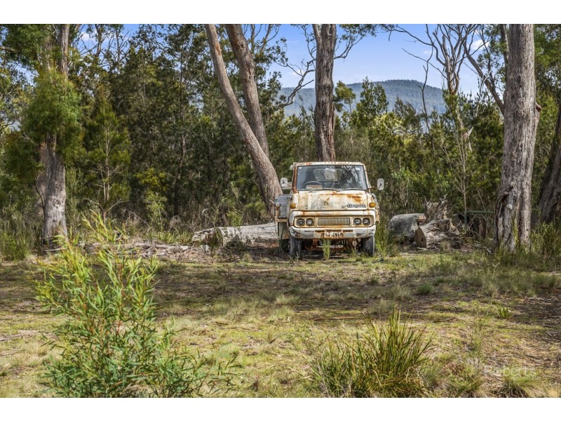90 Suncoast Drive, Bicheno TAS 7215