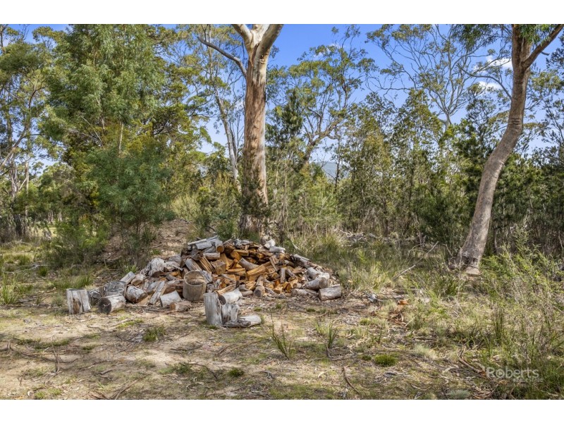 90 Suncoast Drive, Bicheno TAS 7215