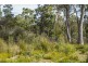 90 Suncoast Drive, Bicheno TAS 7215
