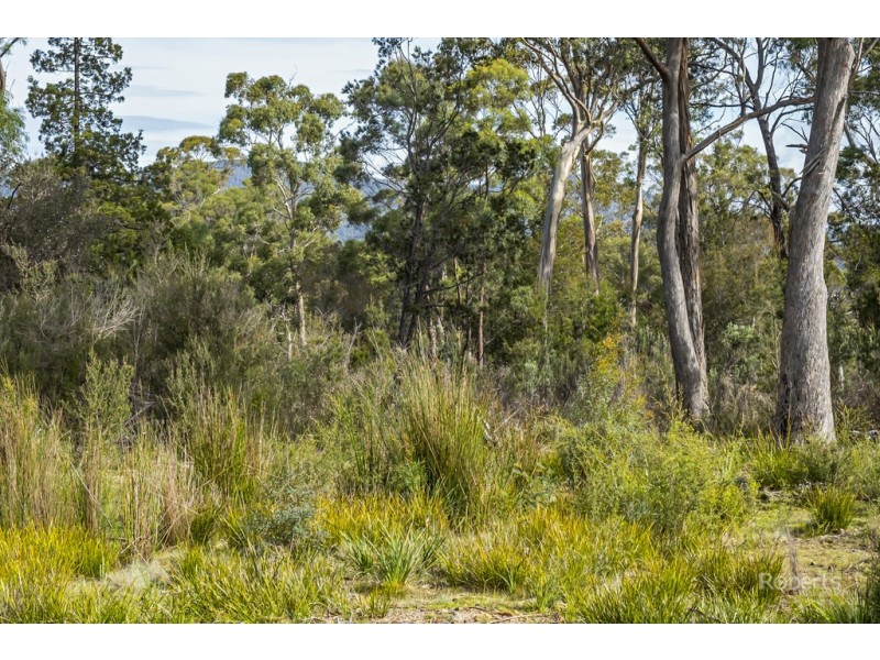 90 Suncoast Drive, Bicheno TAS 7215