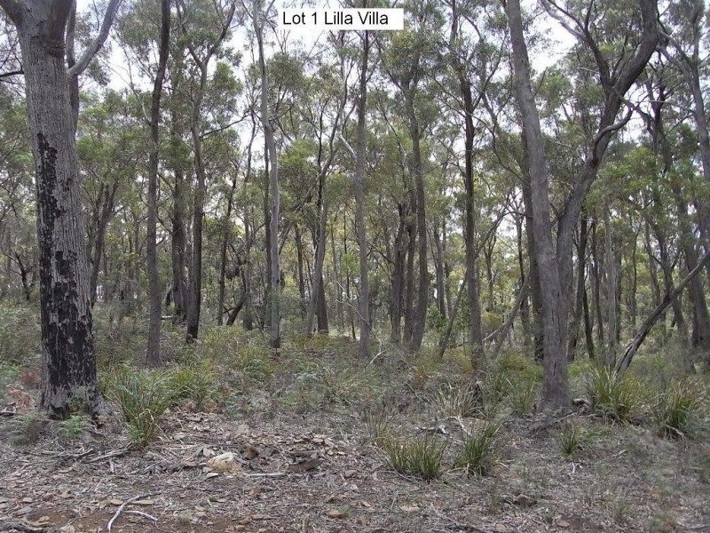 Lot 1 Rosedale Road, Bicheno TAS 7215