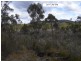 Lot 1 Rosedale Road, Bicheno TAS 7215