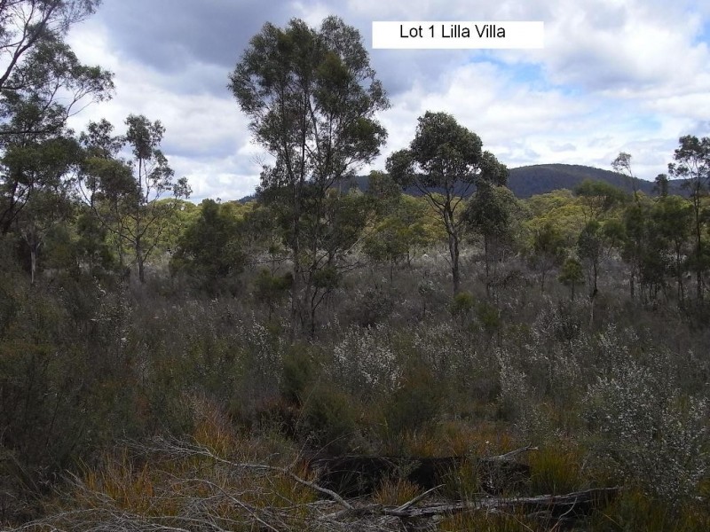 Lot 1 Rosedale Road, Bicheno TAS 7215