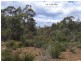 Lot 1 Rosedale Road, Bicheno TAS 7215