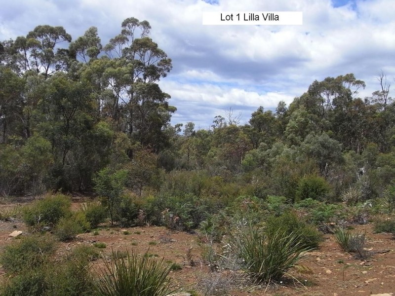 Lot 1 Rosedale Road, Bicheno TAS 7215