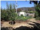 14 Gordon Street, Bicheno TAS 7215