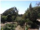 14 Gordon Street, Bicheno TAS 7215