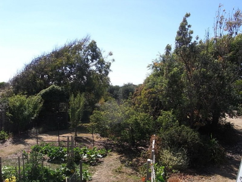 14 Gordon Street, Bicheno TAS 7215