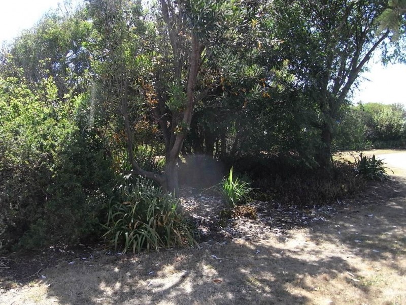 14 Gordon Street, Bicheno TAS 7215