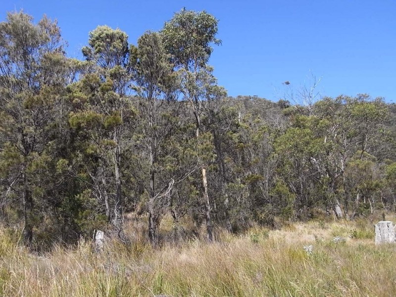 Lot 3 Tasman Highway, Bicheno TAS 7215