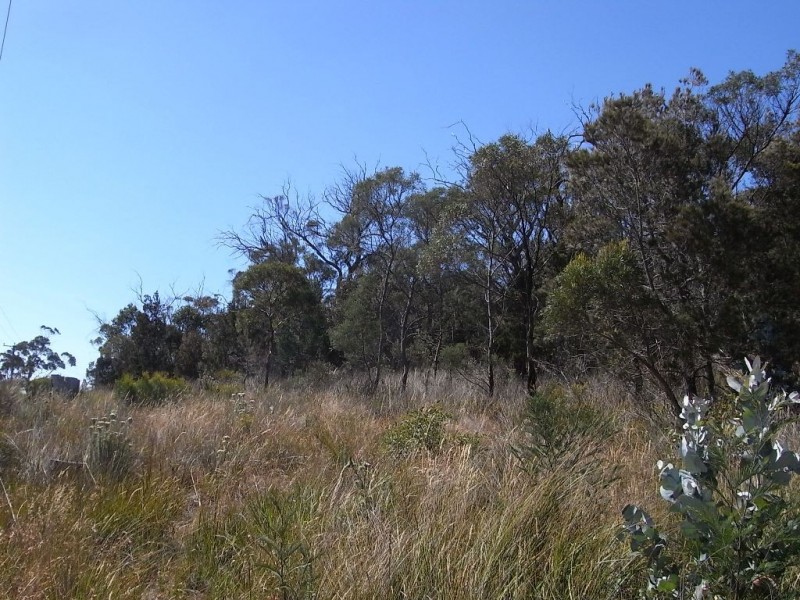 Lot 3 Tasman Highway, Bicheno TAS 7215