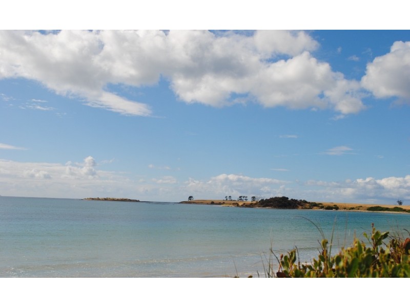 11784 Tasman Highway, Swansea TAS 7190