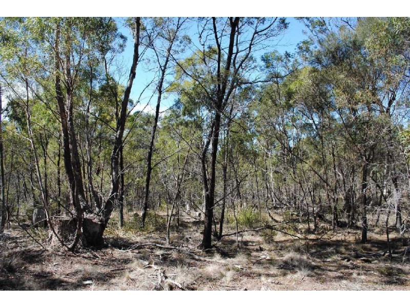 Lot 1 Lake Leake Highway, Swansea TAS 7190