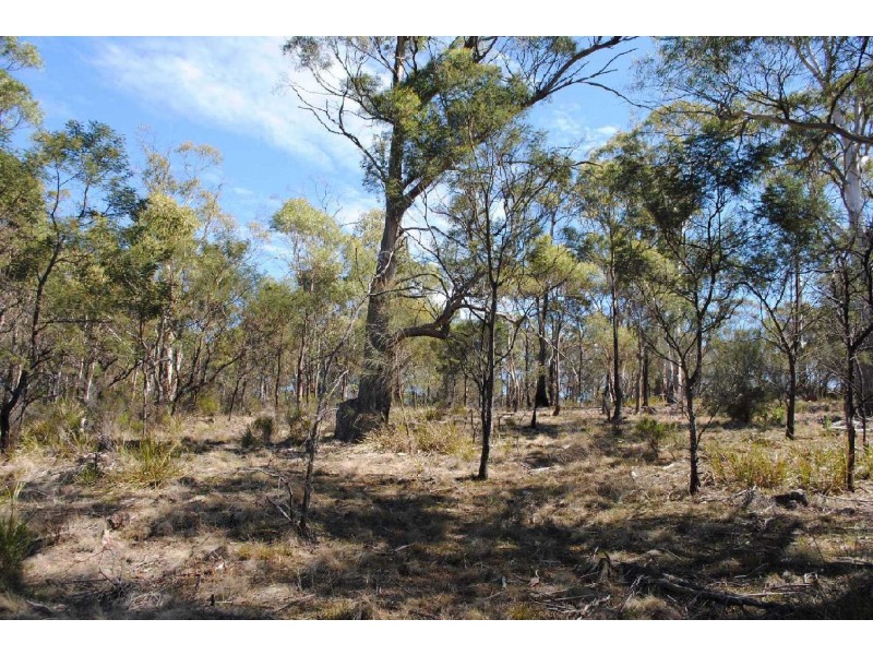 Lot 1 Lake Leake Highway, Swansea TAS 7190