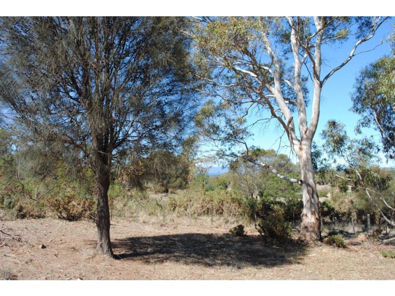 4 Cathcart Street, Swansea TAS 7190