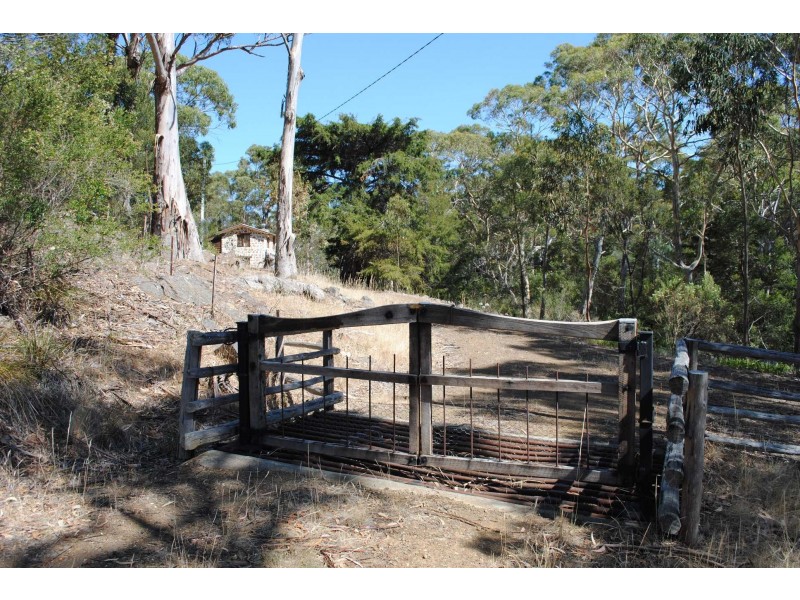 11259 Tasman Highway, Swansea TAS 7190
