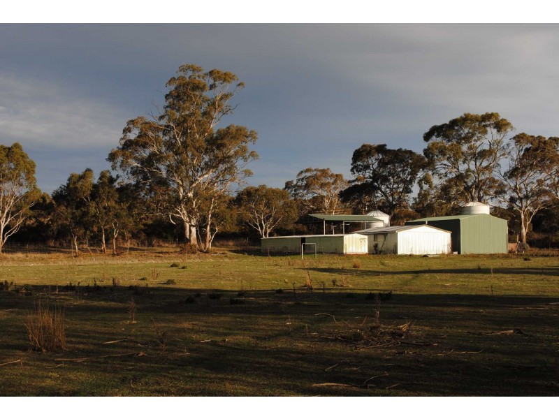 2 Murray Street, Swansea TAS 7190