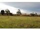 2 Murray Street, Swansea TAS 7190
