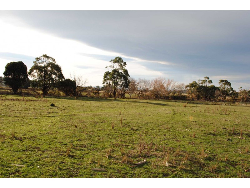 2 Murray Street, Swansea TAS 7190