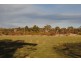 2 Murray Street, Swansea TAS 7190